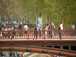  badauds sur les ponts
